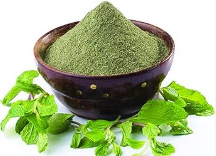 Pudina(mint) Powder 100gms