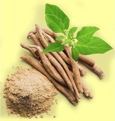 Atibala churan 100gms